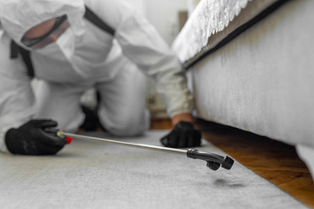 Professional Cockroach Control technician working in Pleasanton, TX