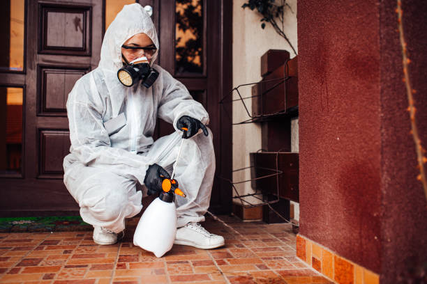 Reliable Cockroach Control contractor in Pleasanton, TX by Nex Pest Control
